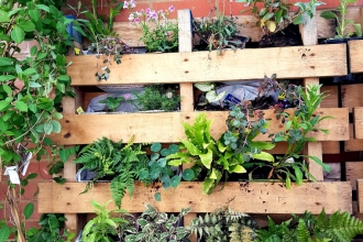 Pallet garden