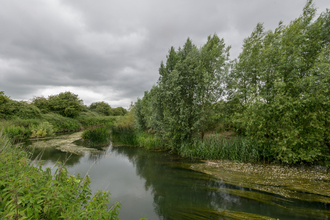 River at Chimney Meadows