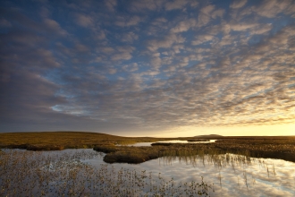 A waterlogged peat bog landscape. Picture: Mark Hamblin 2020 VISION