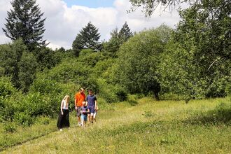 Family walking