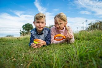 Children in field