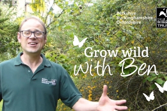 Grow wild with Ben