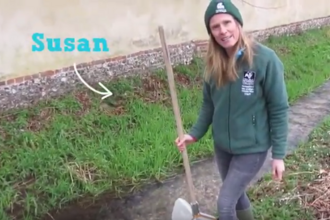 Stream dipping with Susan