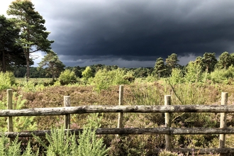 Wildmoor in storm by Roger Stace