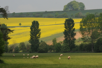 Farmed landscape by Zsuzsanna Bird