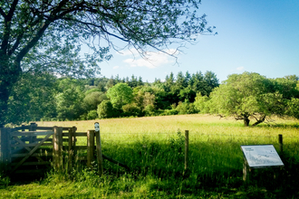 Dancersend nature reserve near Aylesbury. Picture: Pete Hughes