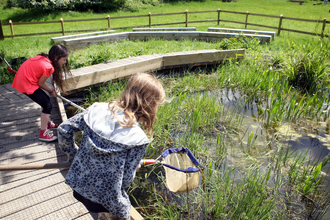 Children pond dipping at Sutton Courtenay Environmental Education Centre (SCEEC) as part of a school trip. Picture: Ric Mellis 