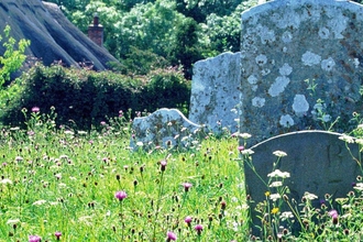 view of some gravestones with a house behind them. Wild flowers cover the graves