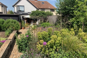 garden filled with plants for wildlife