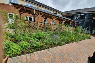 Flowerbed full of plants