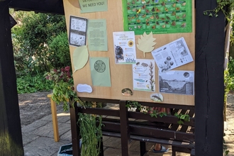 Noticeboard with poster about butterflies and information about nature