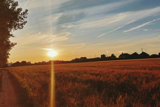 the sun sets over a field casting long rays across it