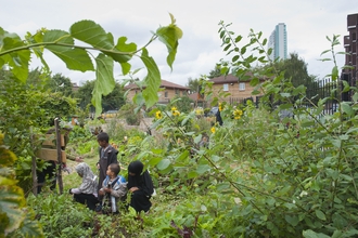 A forest garden in an urban area. Picture: Paul Harris/ 2020Vision