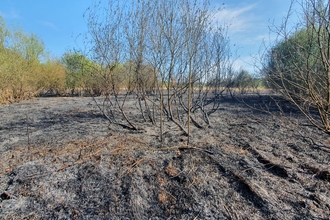 Potteric Carr nature reserve fire damage