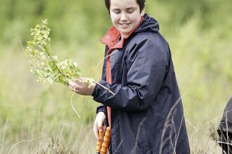 Boy pruning trees
