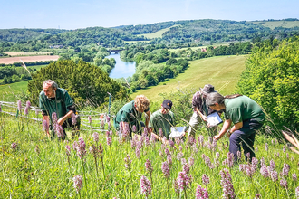 Some of the BBOWT Ecology team carrying out a survey at the Trust's Hartslock Nature Reserve, South Oxfordshire, in May 2022. Picture: Colin Williams