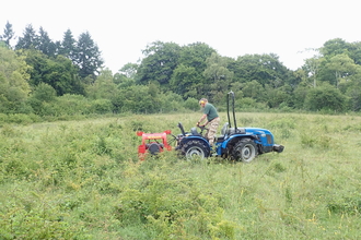 Person cutting dogwood using a tractor