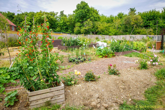 Mill Lane Community Garden in Chinnor.