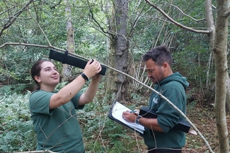 Ecology trainees check dormouse footprint tunnel