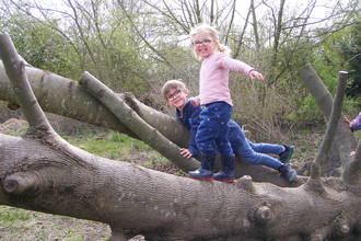 Two children climbing on a fallen log