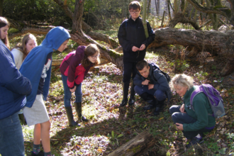 A group of teenagers examine the forest floor