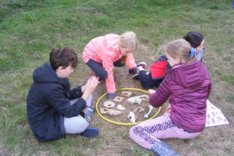 A group of children look at the bones and skulls of animals