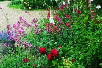 Colourful flowerbed next to driveway