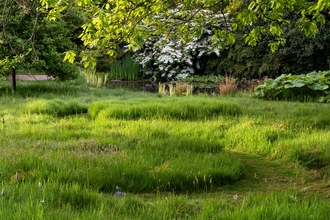 A garden lawn with long grass for wildlife