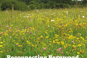 A wildflower meadow used as the cover image of a BBOWT report titled Reconnecting Bernwood, Otmoor and the Ray
