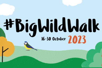 Big Wild Walk 2023