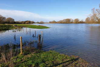 Flooded meadows at Duxford, Oxfordshire 2019