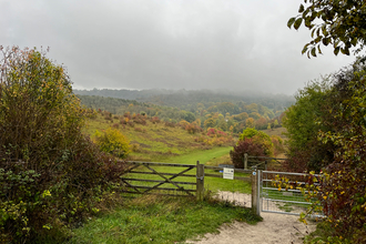 Entrance gate and path leading into Grangelands and Rifle Range Nature Reserve, Buckinghamshire