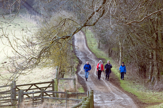 winter walk