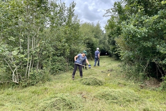 Volunteers raking a grassy track through woods
