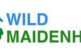 Wild Maidenhead logo