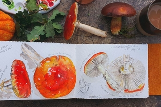 Fungi art