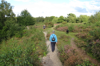People walking through Snelsmore Common with a dog off the lead