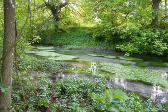 A clear stream running through a valley surrounded by lush greenery.