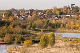 Houses and wetland