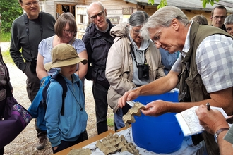 A moth expert showing moths to a group