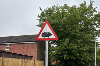 Hedgehog warning road sign