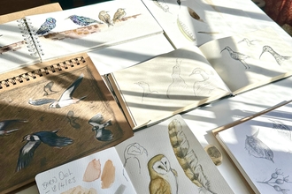 A table featuring many sketchbooks showing drawings and paintings of wildlife