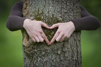 heart, hand, tree