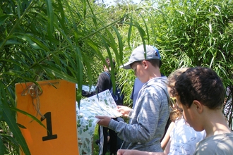 children identifying trees
