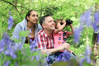 Family in blubell wood