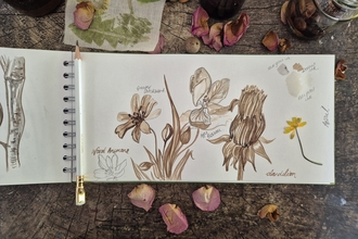 Sketches of flowers