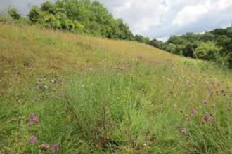 Chilswell Valley