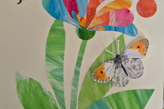 collage of a plant, a bee, and a butterfly