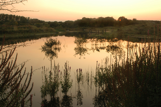 Sunrise over college lake