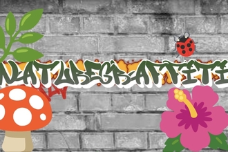 Graffiti-style drawing of leaves, mushrooms, flowers and a ladybird, with graffiti-style text to the right that reads 'Nature Graffiti'